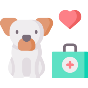 First Aid Trained at Boops & Kisses Pet Care