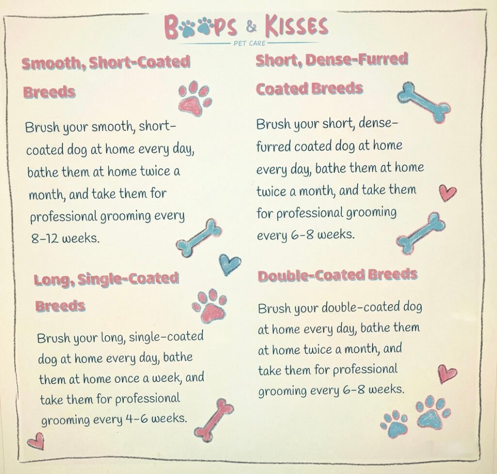 Dog Grooming Guide | Boops & Kisses Pet Care