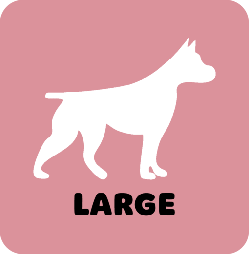 Large Dog Grooms | Boops & Kisses Pet Care