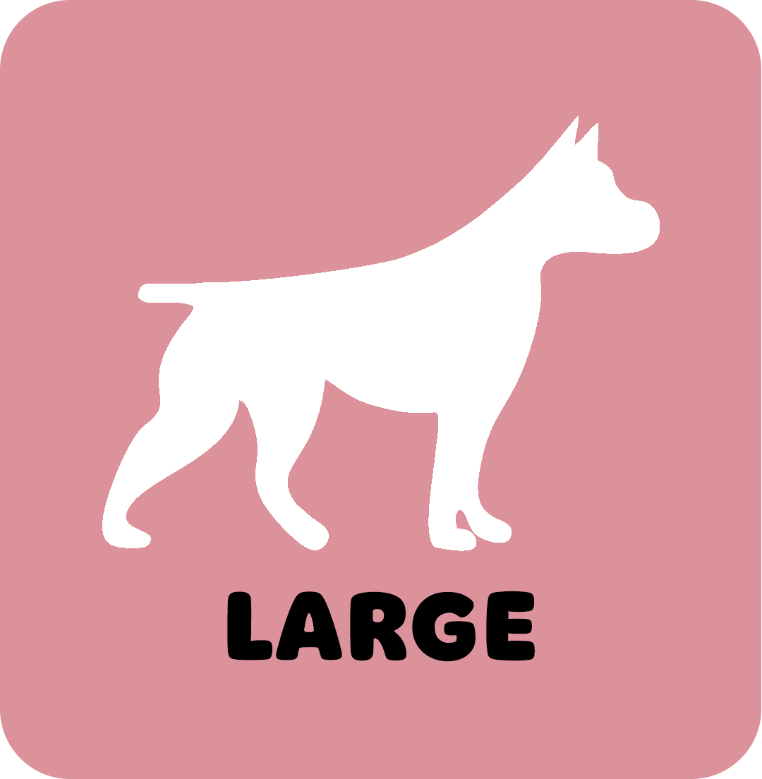Large Dog Grooms | Boops & Kisses Pet Care