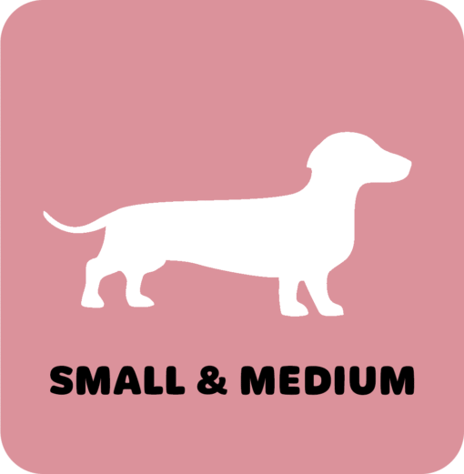 Small to Medium Dog Grooms | Boops & Kisses Pet Care