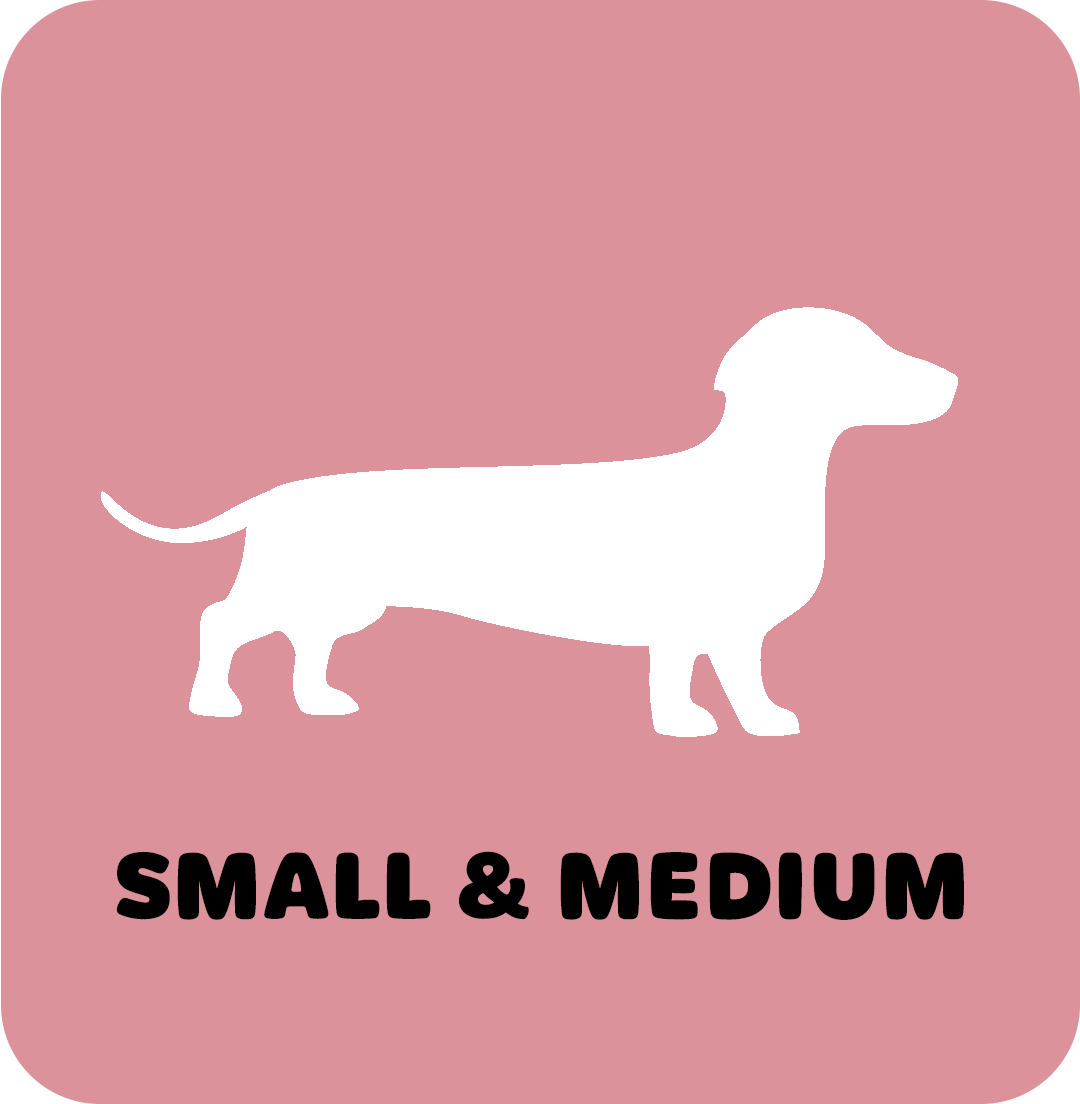Small to Medium Dog Grooms | Boops & Kisses Pet Care