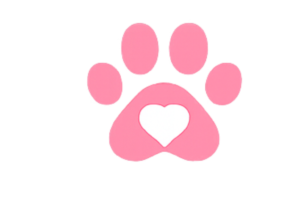 Boops & Kisses Pet Care - Your Pet, Our Care | Why Choose Us