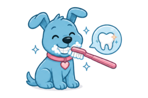 Boops & Kisses Pet Care - Your Pet, Our Care | The Emmi Pet Polish