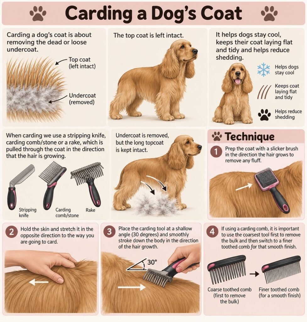 Boops & Kisses Pet Care - Your Pet, Our Care | Carding Technique Explained