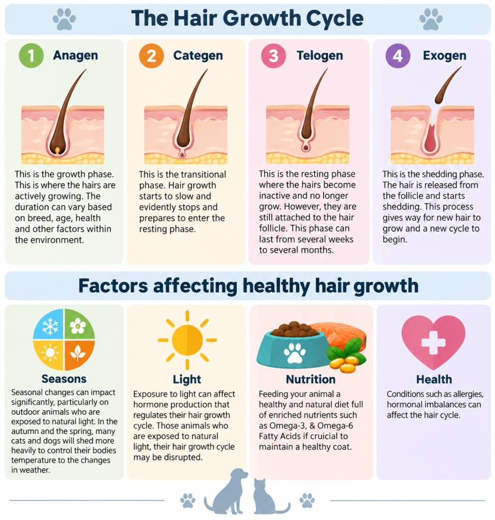 Boops & Kisses Pet Care - Your Pet, Our Care | Hair Growth Cycle