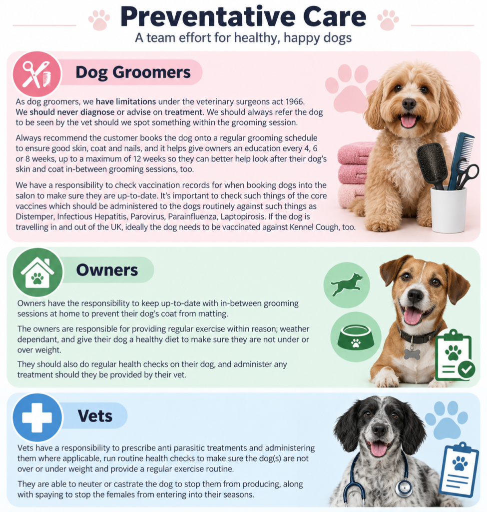 Boops & Kisses Pet Care - Your Pet, Our Care | Preventative Care for Dogs